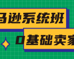 亚马逊系统班,专为0基础卖家量身打造,亚马逊运营流程与架构-第一资源库