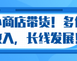微信小商店带货,爆单多倍收入,长期复利循环!日赚300-800元不等-第一资源库