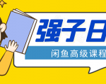 闲鱼高级课程:单号一个月一万左右 有基础的,批量玩的5万-10万都不是难事-第一资源库