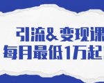 引流&变现课:分享一整套流量方法以及各个渠道收入,每月最低1万起!-第一资源库