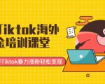 最新Tiktok海外掘金培训课堂:带你玩转Tiktok暴力涨粉轻松变现-第一资源库