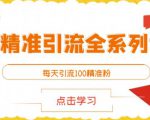 闲鱼精准引流全系列课程，每天引流100精准粉【视频课程】-第一资源库