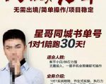 星哥同城教育书单号课程,无需出境简单操作项目稳定-第一资源库