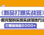 凌童《新品打爆实战班》,一套完整的实操实战落地方法,打爆链接超2000+(28节课)-第一资源库
