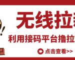最新接码无限拉新项目,利用接码平台赚拉新平台差价,轻松日赚500+-第一资源库