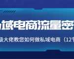 私域电商流量密码:千万级大佬教您如何做私域电商(12节课)-第一资源库