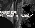 新媒体IP内训营(12期),一套全新的“公域引流,私域成交”IP打法,直接带走-第一资源库