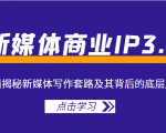新媒体商业IP3.0,全面揭秘新媒体写作套路及其背后的底层逻辑(价值1299元)-第一资源库