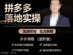 拼多多实战篇·落地实操:多多操作完整思路+实操案例讲解+拆解操作思路+复杂的算法简单化-第一资源库