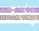 一写就爆-小红书文案课:带你玩转小红收爆文写作(45节课)-第一资源库