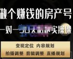 刘广标·同城房产号线上陪跑课,拍摄、剪辑、写文案、直播,做一个具有潜力价值的房产号-第一资源库