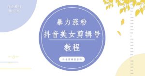 抖音快手暴力涨粉美女混剪视频教程,百分百过原创图片教程!附带违规申诉方法-第一资源库