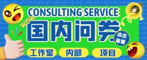 最新工作室内部国内问卷调查项目,单号轻松日入30+多号多撸【详细玩法教程】-第一资源库