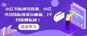 小红书私域引流课,小红书引流私域成交秘籍,1个月加爆私域!-第一资源库