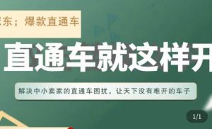 冠东·淘系直通车保姆级教程,全面讲解直通车就那么简单-第一资源库