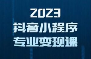 2023年抖音小程序变现保姆级教程,0粉丝新号,无需实名,3天起号,第1条视频就有收入-第一资源库