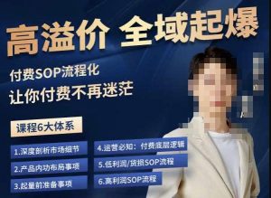 逸风-拼多多高溢价全域起爆,6大课程体系,付费玩法全套实操-第一资源库