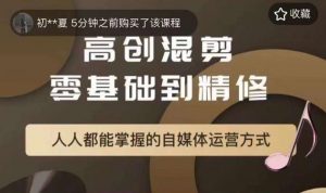 萌萌酱追剧高创混剪零基础到精通,人人都能掌握的自媒体运营方式-第一资源库