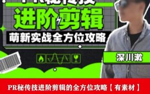 PR进阶剪辑培训班,让你快速成为剪辑大师12节视频课程+素材!-第一资源库