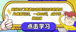 超级冷门赛道在微博引流卖明星图片最新玩法，一单88元，成交非常丝滑【揭秘】-第一资源库