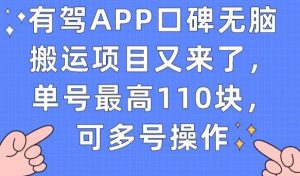 有驾APP口碑无脑搬运项目又来了,单号最高110块,可多号操作-第一资源库
