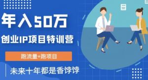创业IP年入50W核心方法,未来10年最值得做的项目【揭秘】-第一资源库