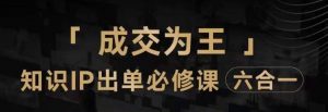 抖音知识IP直播登顶营(六合一),三倍流量提升秘诀,七步卖课实操演示,内容爆款必修指南-第一资源库