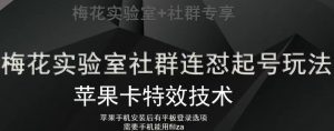 梅花实验室社群视频号连怼起号玩法,最新苹果卡特效技术-第一资源库