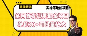 全网首发红果免费短剧掘金项目,单机30+可批量放大【揭秘】-第一资源库
