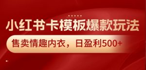 小红书卡模板爆款玩法,售卖情趣内衣,日盈利500+【揭秘】-第一资源库