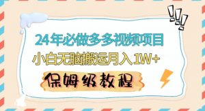 人人都能操作的蓝海多多视频带货项目,小白无脑搬运月入10000+【揭秘】-第一资源库