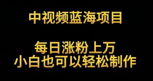 中视频蓝海项目,解读英雄人物生平,每日涨粉上万,小白也可以轻松制作,月入过万不是梦【揭秘】-第一资源库
