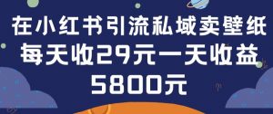 在小红书引流私域卖壁纸每张29元单日最高卖出200张(0-1搭建教程)【揭秘】-第一资源库