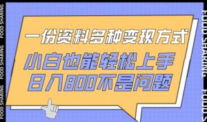 一份资料多种变现方式，小白也能轻松上手，日入800不是问题【揭秘】-第一资源库