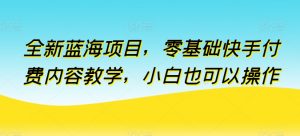 全新蓝海项目,零基础快手付费内容教学,小白也可以操作【揭秘】-第一资源库