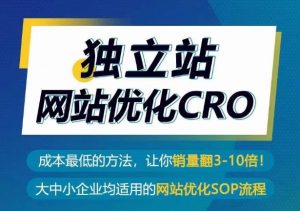 独立站网站优化CRO,成本最低的方法,让你销量翻3-10倍-第一资源库