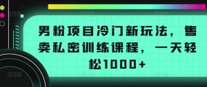 男粉项目冷门新玩法,售卖私密训练课程,一天轻松1000+【揭秘】-第一资源库