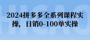 2024拼多多全系列课程实操,日销0-100单实操【必看】-第一资源库