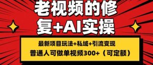 修复老视频的玩法,搬砖+引流的变现(可持久),单条收益300+【揭秘】-第一资源库