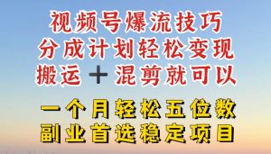 视频号爆流技巧,分成计划轻松变现,搬运 +混剪就可以,一个月轻松五位数稳定项目【揭秘】-第一资源库