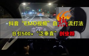 抖音EMO视频自热打法，日引500+“泛垂直”创业粉-第一资源库
