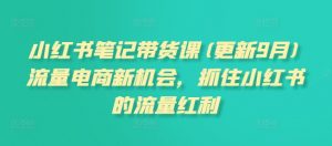 小红书笔记带货课(更新11月)流量电商新机会,抓住小红书的流量红利-第一资源库