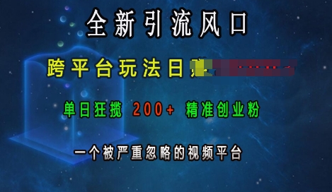 全新引流风口，跨平台玩法日入上k，单日狂揽200+精准创业粉，一个被严重忽略的视频平台-第一资源库