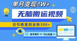 无脑搬运视频号可批量复制,新手即可操作,日引精准创业粉300+,月变现过W 【揭秘】-第一资源库