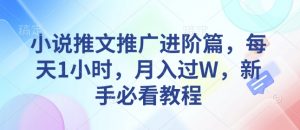 小说推文推广进阶篇,每天1小时,月入过W,新手必看教程-第一资源库
