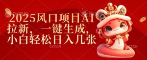 2025风口项目AI拉新,一键生成,小白轻松日入几张-第一资源库