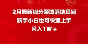 2月最新细分领域落地项目，新手小白也可快速上手，月入1W-第一资源库