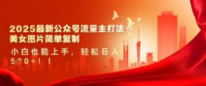 2025最新公众号流量主打法,美女图片简单复制,小白也能上手,轻松日入5张-第一资源库