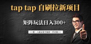 taptap拉新自刷项目,一个新用户14元,矩阵玩法日入300+-第一资源库