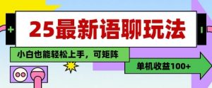 25年最新语聊玩法,纯手工,单机收益100+,小白也能轻松上手,可矩阵操作-第一资源库